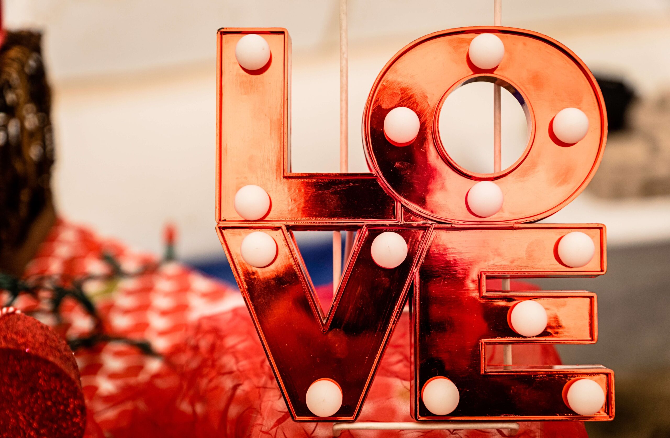 Image of the LOVE logo